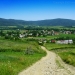 Dolina Sidziny