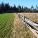 Płot