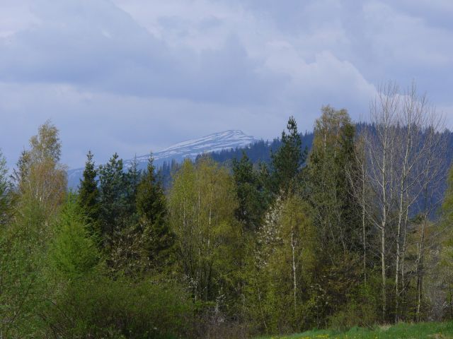 Babia Góra - kliknij żeby powiększyć