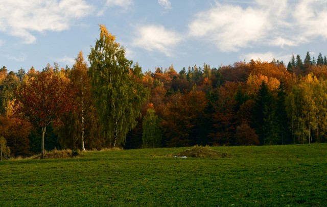 Jesienne barwy - kliknij żeby powiększyć