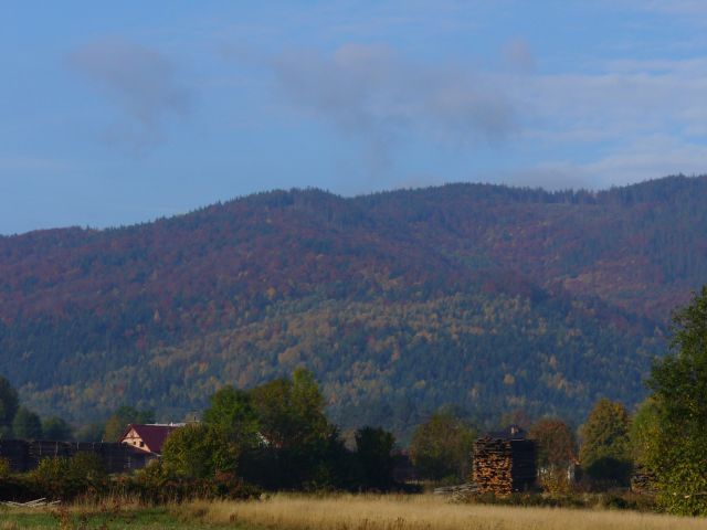 Kordelka - kliknij żeby powiększyć