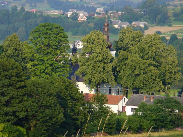 Kościół za drzewami - kliknij żeby powiększyć