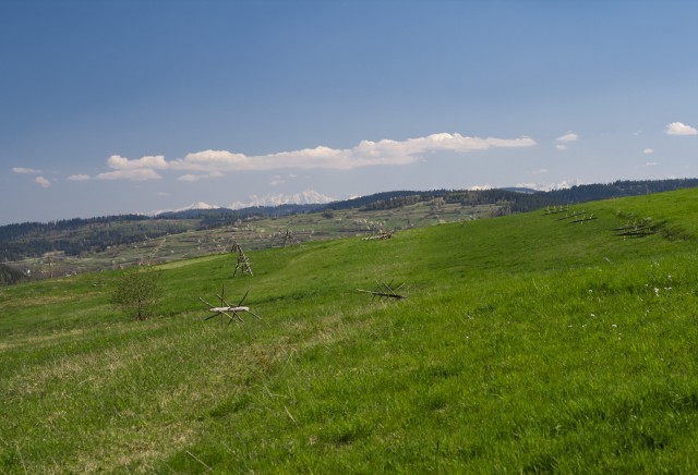 Łąka i góry - kliknij żeby powiększyć