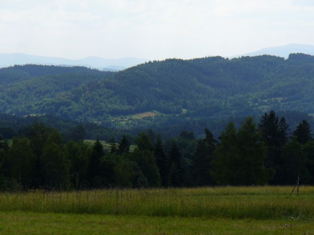 Las i góry - kliknij żeby powiększyć