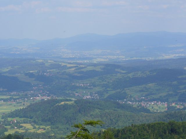 Nie tylko Sidzina - kliknij żeby powiększyć