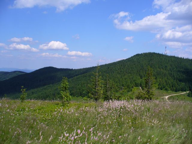 Pasmo Polic - kliknij żeby powiększyć