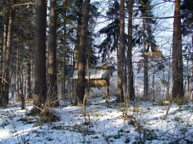 Paśnik - kliknij żeby powiększyć