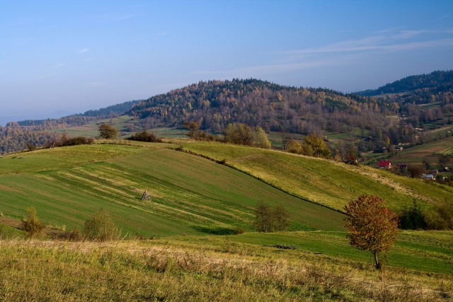 Pejzaż jesienny - kliknij żeby powiększyć