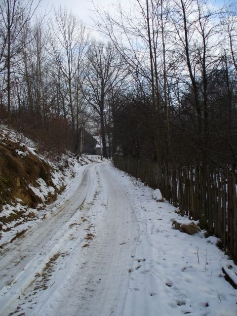 Płot koło drogi - kliknij żeby powiększyć