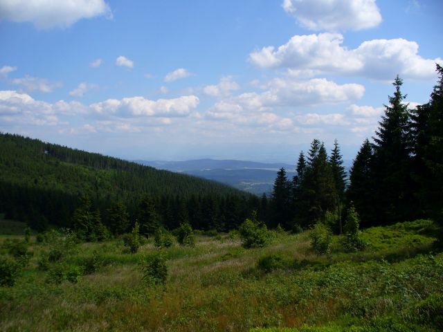 Południowe zbocze - kliknij żeby powiększyć