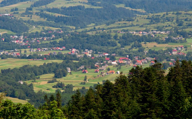 Prawie same dachy - kliknij żeby powiększyć