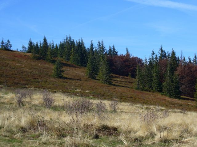 Przełęcz Kucałowa - kliknij żeby powiększyć