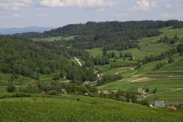 Zielona dolina - kliknij żeby powiększyć