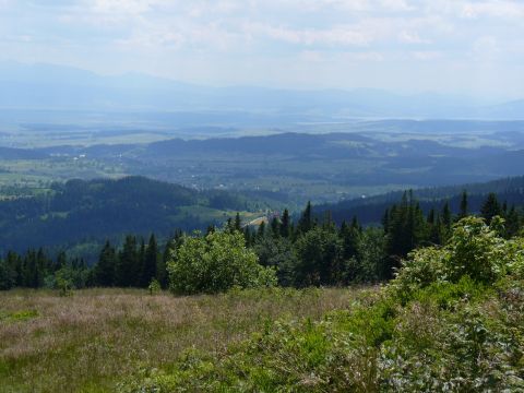 Pasmo Polic