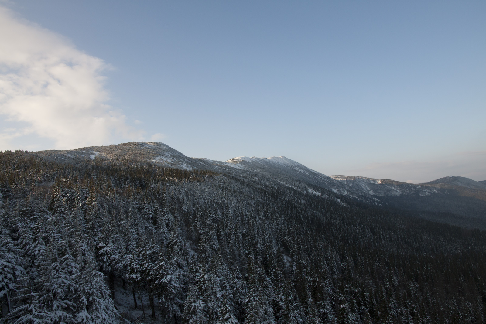 Babia Góra