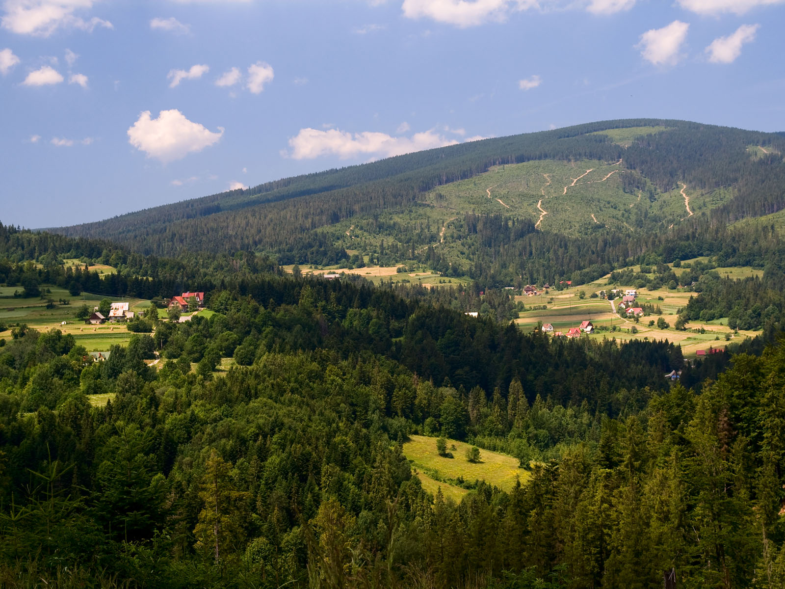 Domki w górach