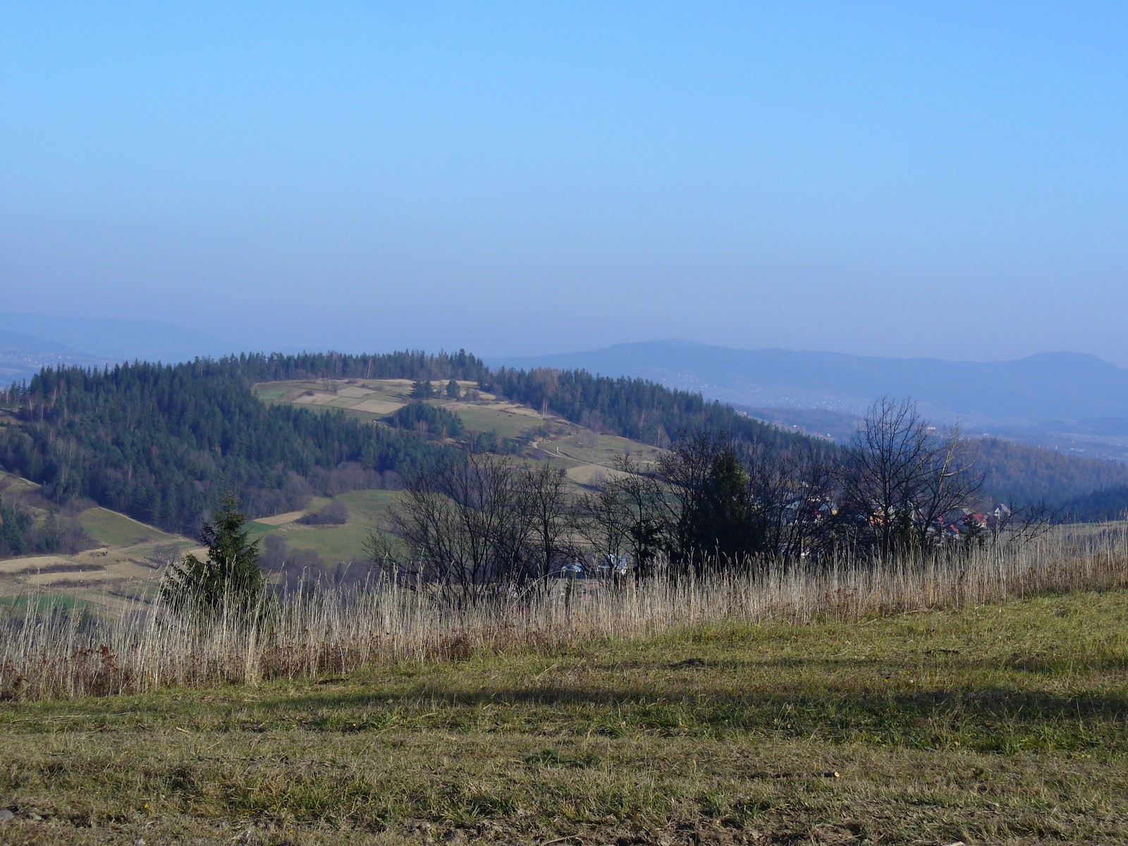 Ostojów