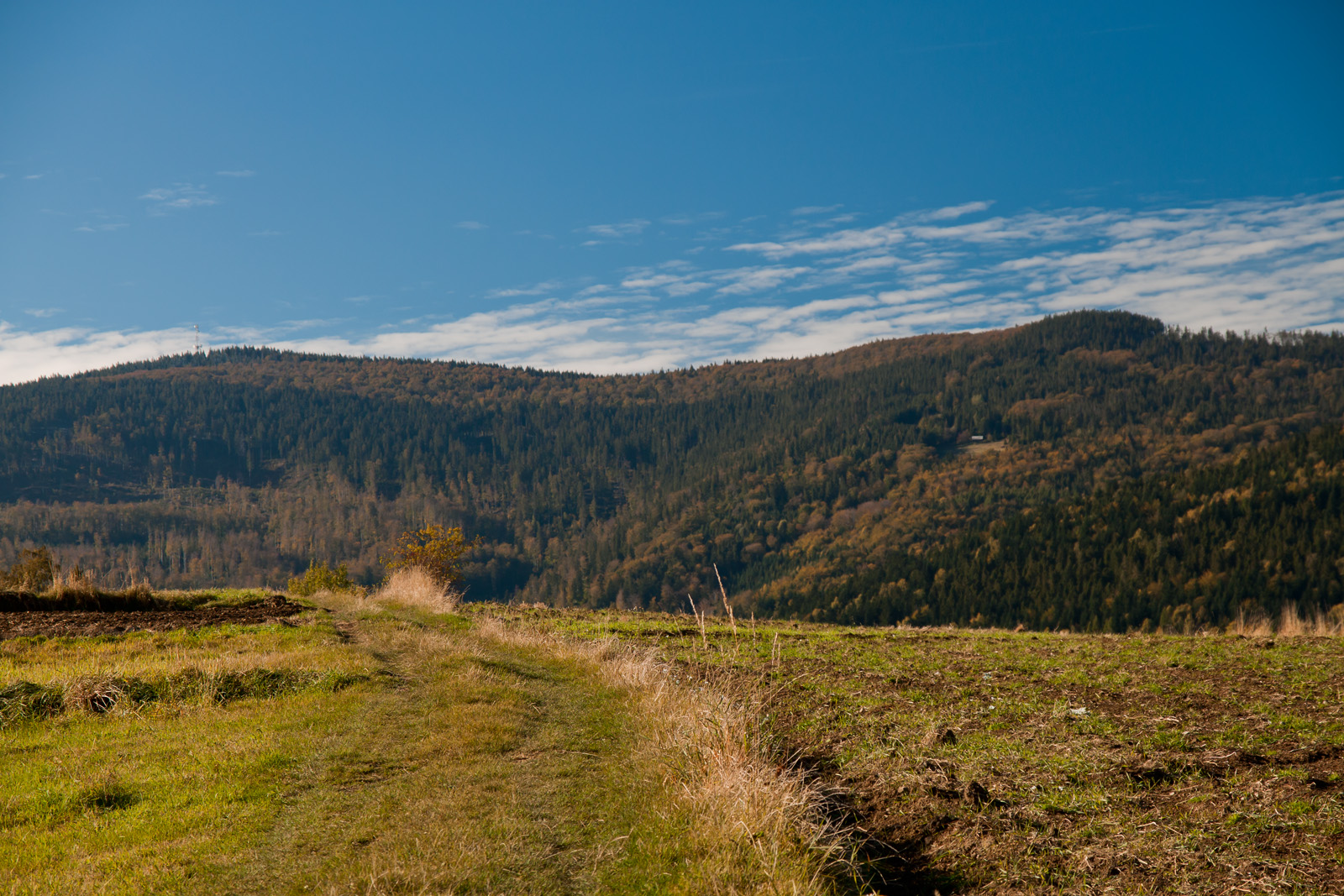 Pogodna jesień