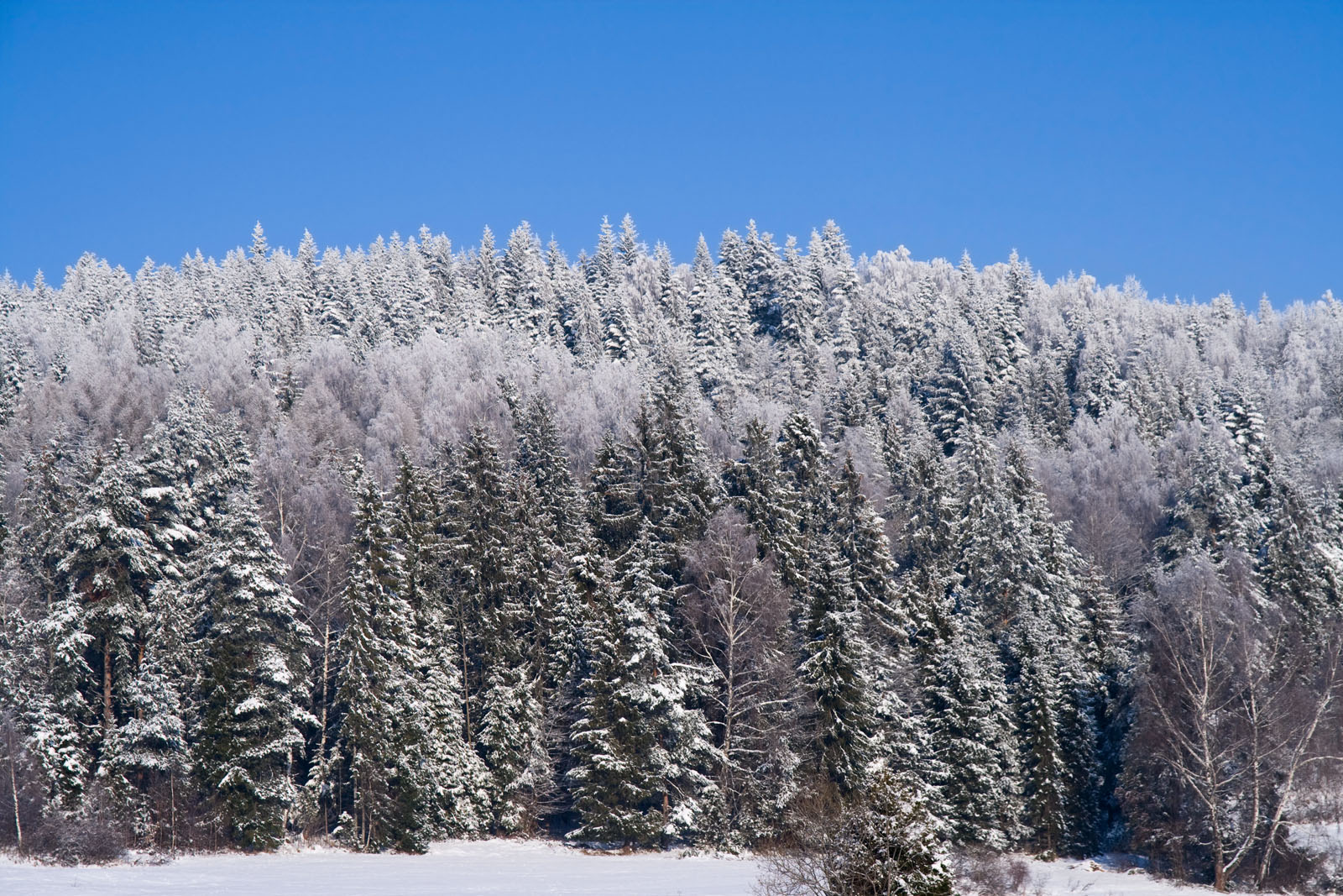 Śnieżna ściana