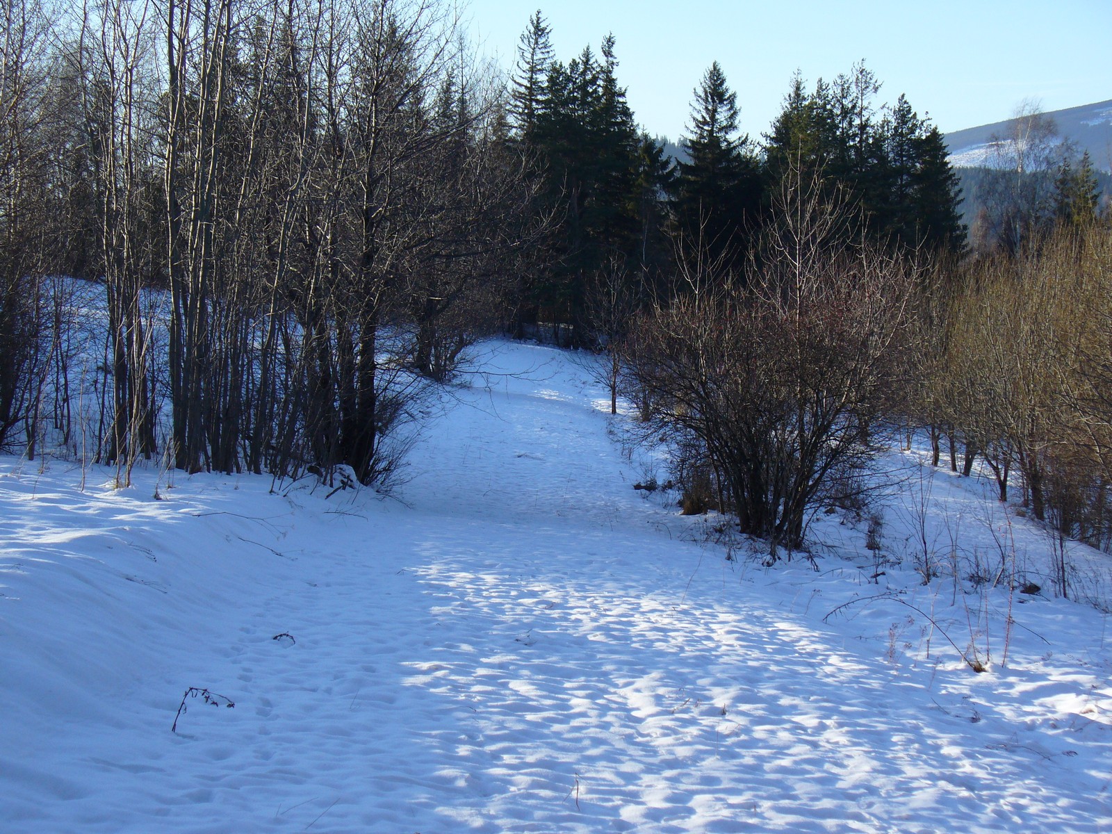 Wąskie pole w śniegu